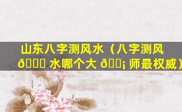 山东八字测风水（八字测风 🍁 水哪个大 🐡 师最权威）